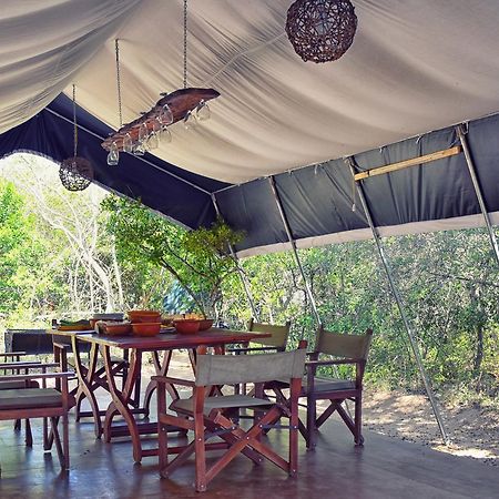 Wilderness Camping Yala Exterior foto